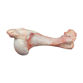 قلم گوساله 1 کیلوگرمی