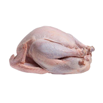 شقه بوقلمون 1 کیلوگرمی