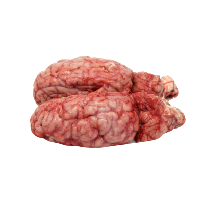 مغز گوساله 1 عدد