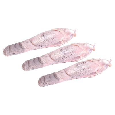 زبان گوسفندی ۱ عدد